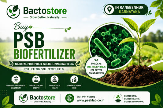 Buy PSB Biofertilizer in Ranebennur, Karnataka.