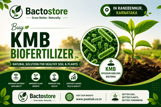 Buy KMB Biofertilizer in Ranebennur, Karnataka.