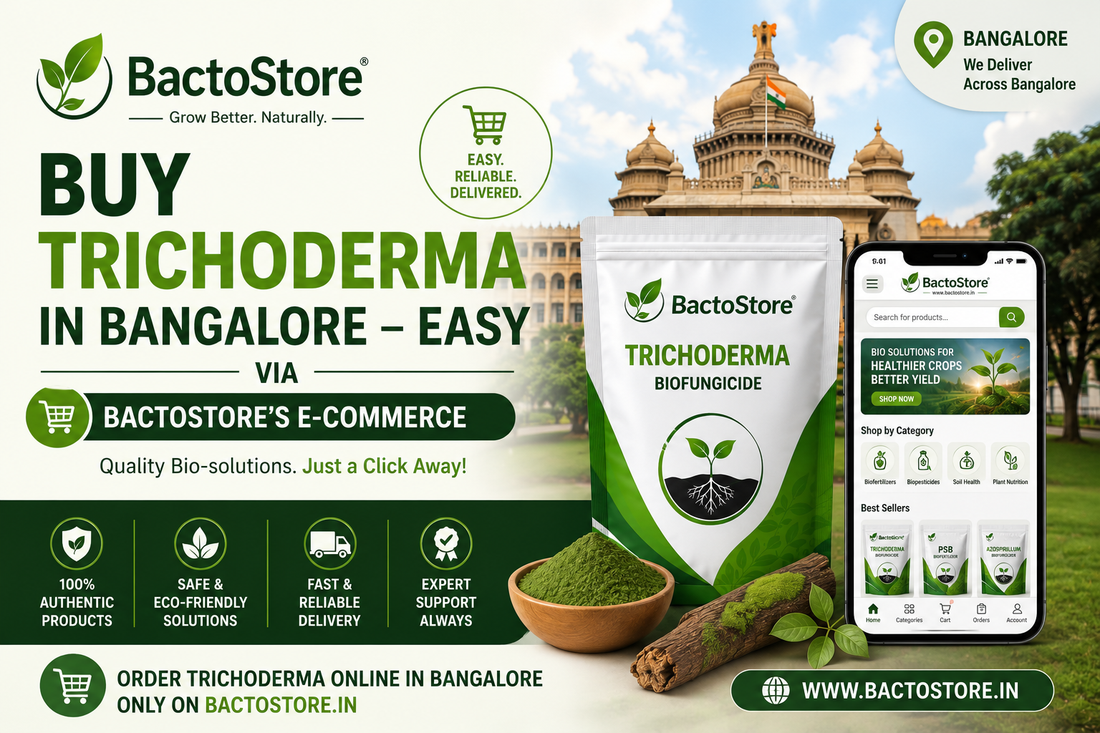 Buy Trichoderma  biofungicide in Bangalore – Easy via BactoStore’s E‑commerce