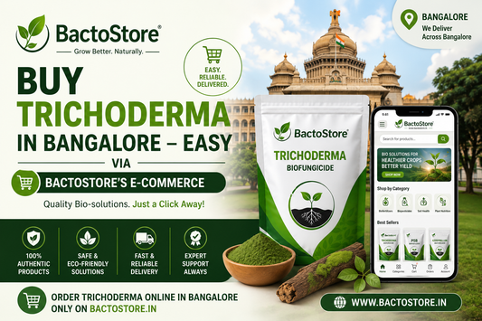 Buy Trichoderma  biofungicide in Bangalore – Easy via BactoStore’s E‑commerce