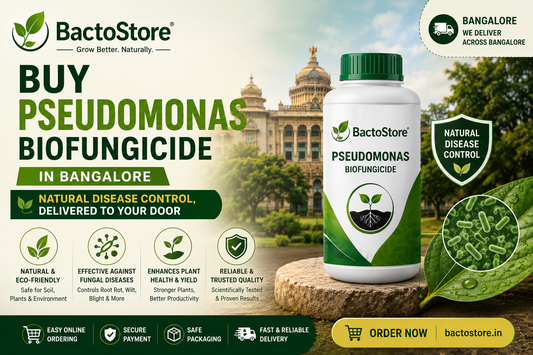 Buy Pseudomonas Biofungicide in Bangalore – Natural Disease Control, Delivered to Your Door