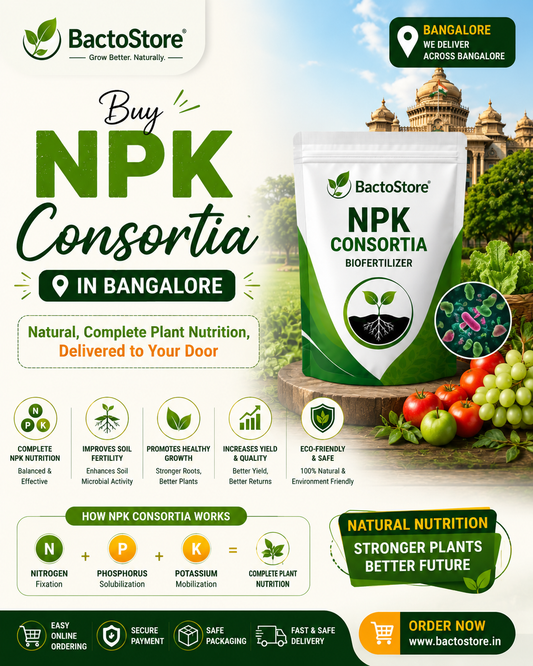 Buy NPK Consortia in Bangalore – Natural, Complete Plant Nutrition, Delivered to Your Door