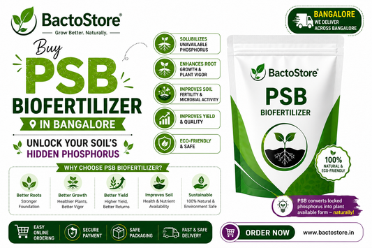 Buy PSB Biofertilizer in Bangalore – Unlock Your Soil’s Hidden Phosphorus