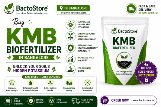 Buy KMB Biofertilizer in Bangalore – Unlock Your Soil’s Hidden Potassium