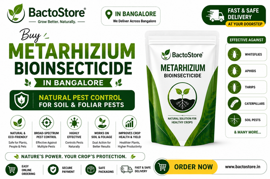 Buy Metarhizium Bioinsecticide in Bangalore – Natural Pest Control for Soil &amp; Foliar Pests