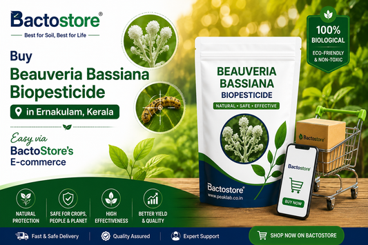 Buy Beauveria Bassiana Biopesticide in Ernakulam Kerala – Easy via BactoStore’s E-commerce
