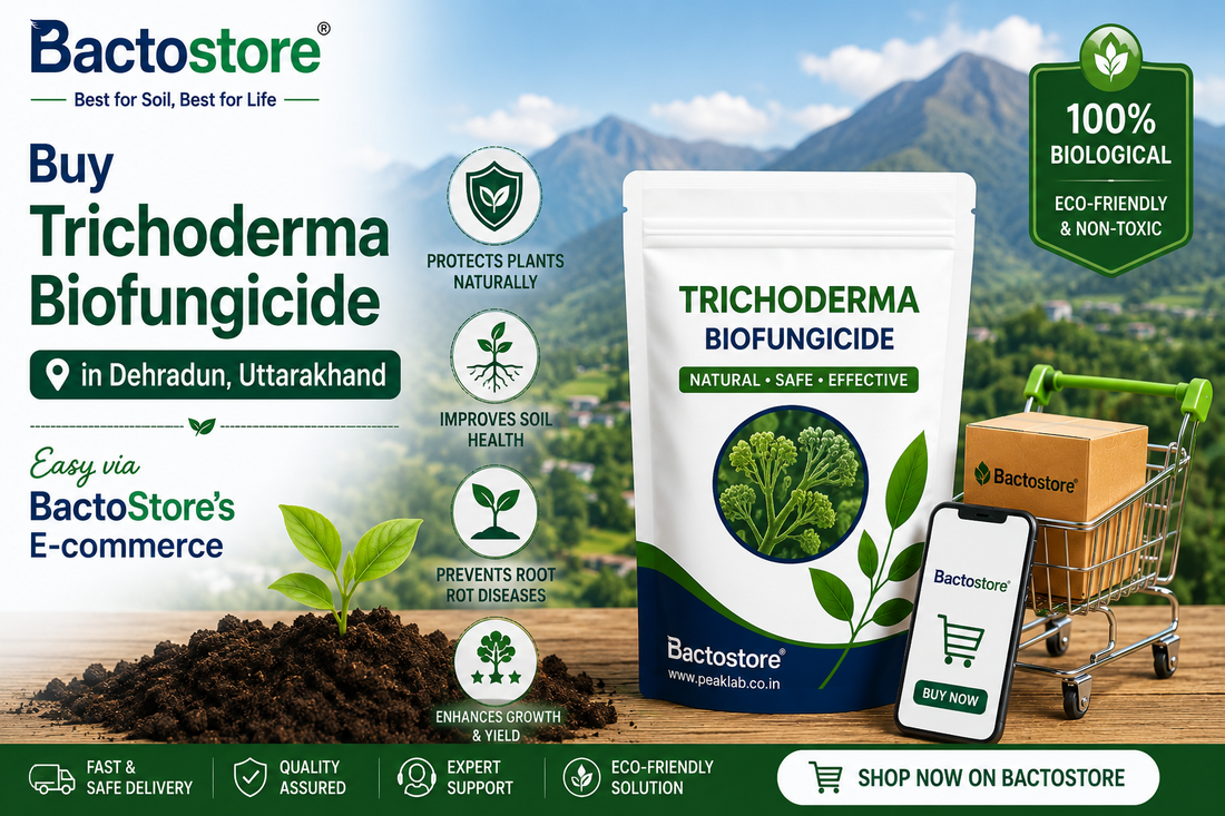 Buy Trichoderma Biofungicide in Dehradun, Uttarakhand – Easy via BactoStore’s E-commerce