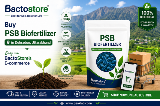 Buy PSB Biofertilizer in Dehradun, Uttarakhand – Easy via BactoStore’s E-commerce