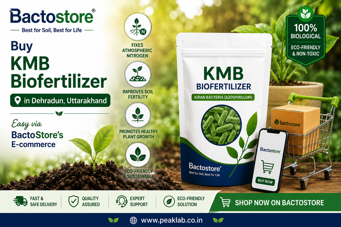 Buy KMB Biofertilizer in Dehradun, Uttarakhand – Easy via BactoStore’s E-commerce