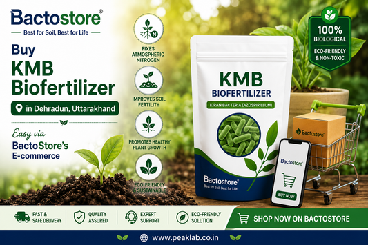 Buy KMB Biofertilizer in Dehradun, Uttarakhand – Easy via BactoStore’s E-commerce