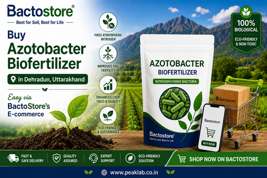 Buy Azotobacter Biofertilizer in Dehradun, Uttarakhand – Easy via BactoStore’s E-commerce