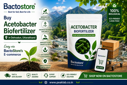 Buy Acetobacter Biofertilizer in Dehradun, Uttarakhand – Easy via BactoStore’s E-commerce.