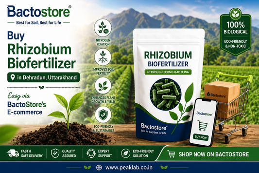 Buy Buy Rhizobium Biofertilizer in Dehradun, Uttarakhand – Easy via BactoStore’s E-commerce