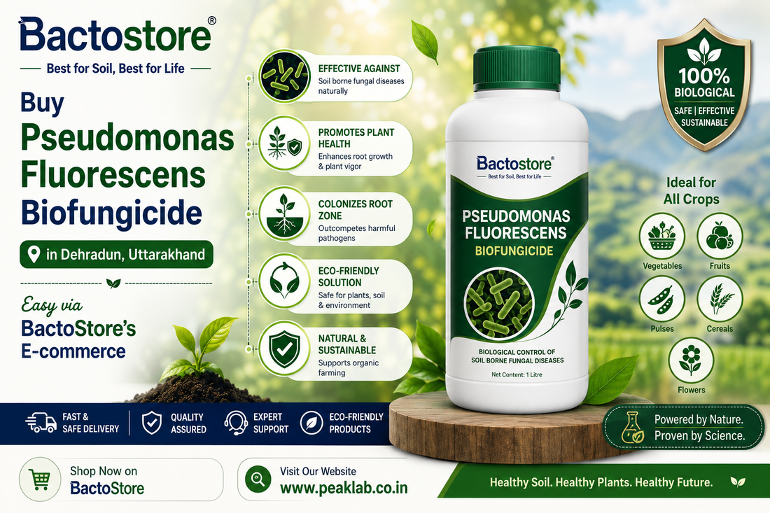 Buy Pseudomonas Fluorescens Biofungicide in Dehradun, Uttarakhand – Easy via BactoStore’s E-commerce