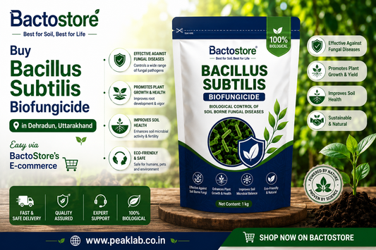 Buy Bacillus Subtilis Biofungicide in Dehradun, Uttarakhand – Easy via BactoStore’s E-commerce
