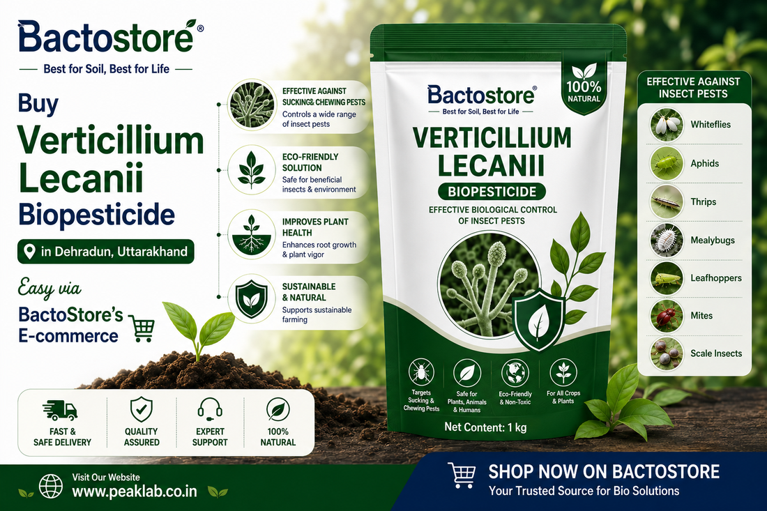 Buy Verticillium Lecanii Biopesticide in Dehradun, Uttarakhand – Easy via BactoStore’s E-commerce
