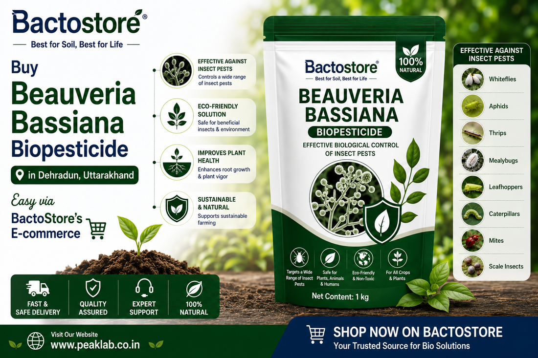 Buy Beauveria Bassiana Biopesticide in Dehradun, Uttarakhand – Easy via BactoStore’s E-commerce