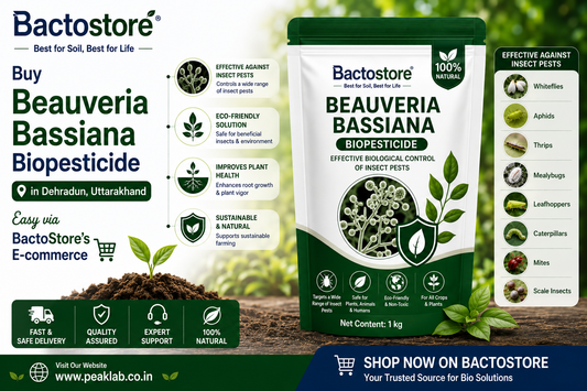 Buy Beauveria Bassiana Biopesticide in Dehradun, Uttarakhand – Easy via BactoStore’s E-commerce