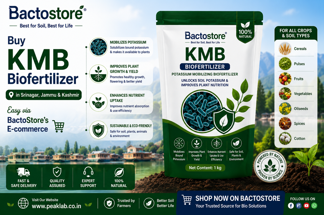 Buy KMB Biofertilizer in Srinagar – Easy via BactoStore’s E-commerce