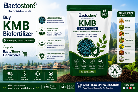 Buy KMB Biofertilizer in Srinagar – Easy via BactoStore’s E-commerce
