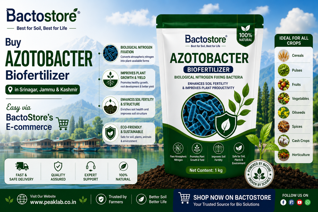 Buy Azotobacter Biofertilizer in Srinagar – Easy via BactoStore’s E-commerce
