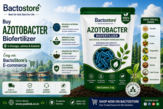 Buy Azotobacter Biofertilizer in Srinagar – Easy via BactoStore’s E-commerce