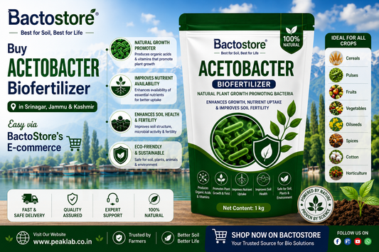 Buy Acetobacter Biofertilizer in Srinagar – Easy via BactoStore’s E-commerce