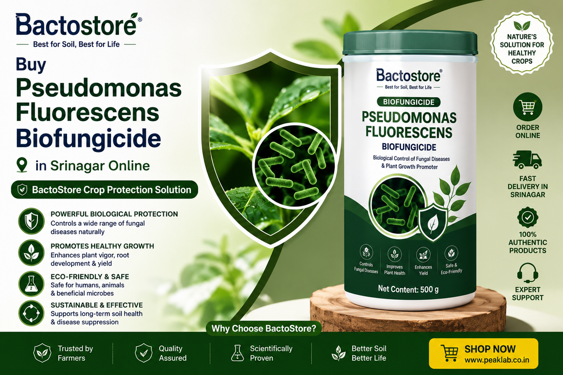Buy Pseudomonas Fluorescens Biofungicide in Srinagar – Easy via BactoStore’s E-commerce