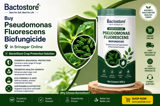 Buy Pseudomonas Fluorescens Biofungicide in Srinagar – Easy via BactoStore’s E-commerce
