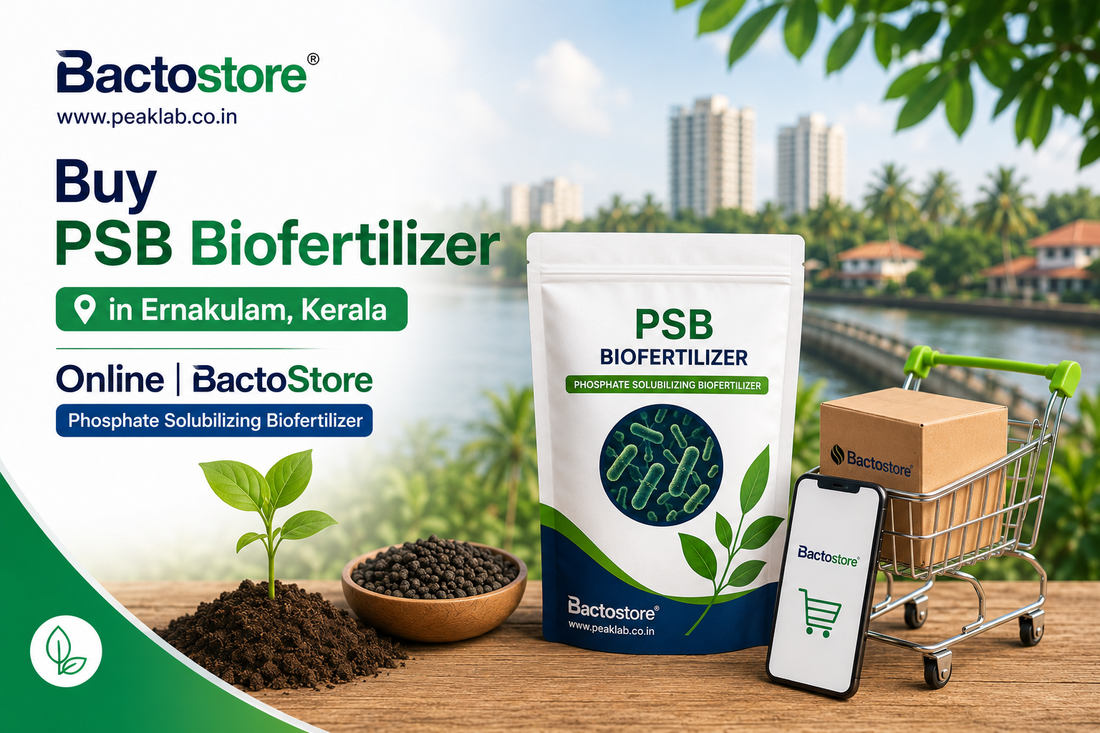 Buy PSB Biofertilizer in Ernakulam Kerala – Easy via BactoStore’s E-commerce