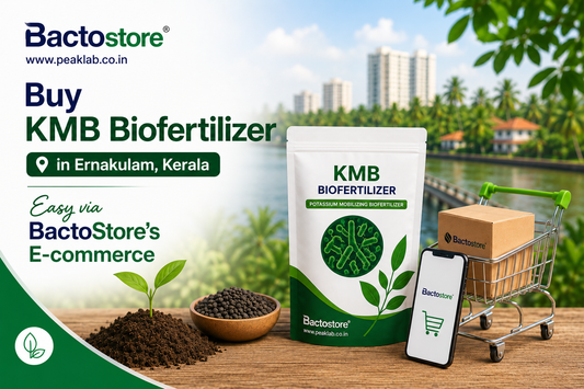 Buy KMB Biofertilizer in Ernakulam Kerala – Easy via BactoStore’s E-commerce