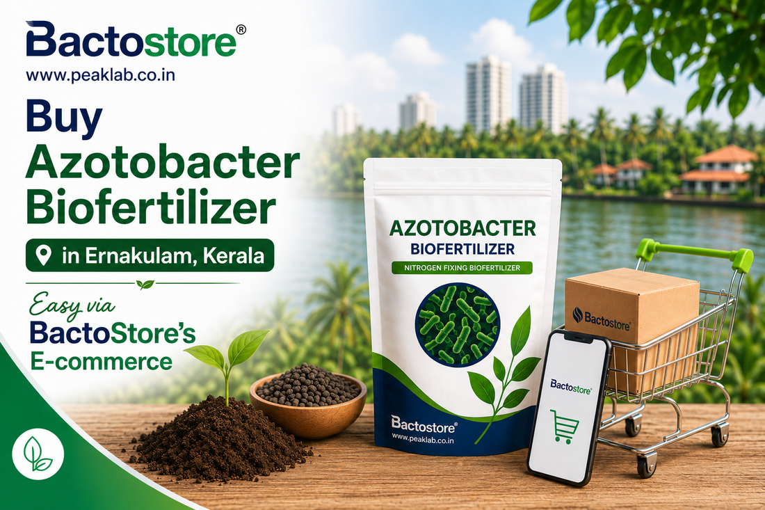 Buy Azotobacter Biofertilizer in Ernakulam Kerala – Easy via BactoStore’s E-commerce