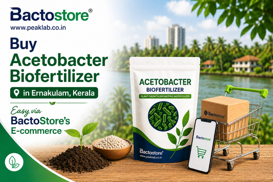 Buy Acetobacter Biofertilizer in Ernakulam Kerala – Easy via BactoStore’s E-commerce