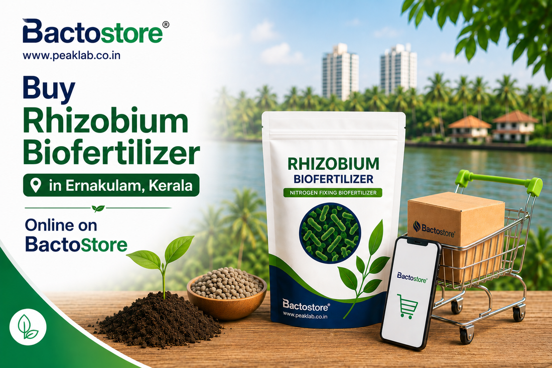Buy Rhizobium Biofertilizer in Ernakulam Kerala Online on BactoStore