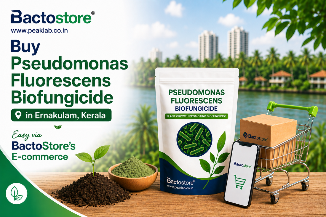 Buy Pseudomonas Fluorescens Biofungicide in Ernakulam Kerala – Easy via BactoStore’s E-commerce