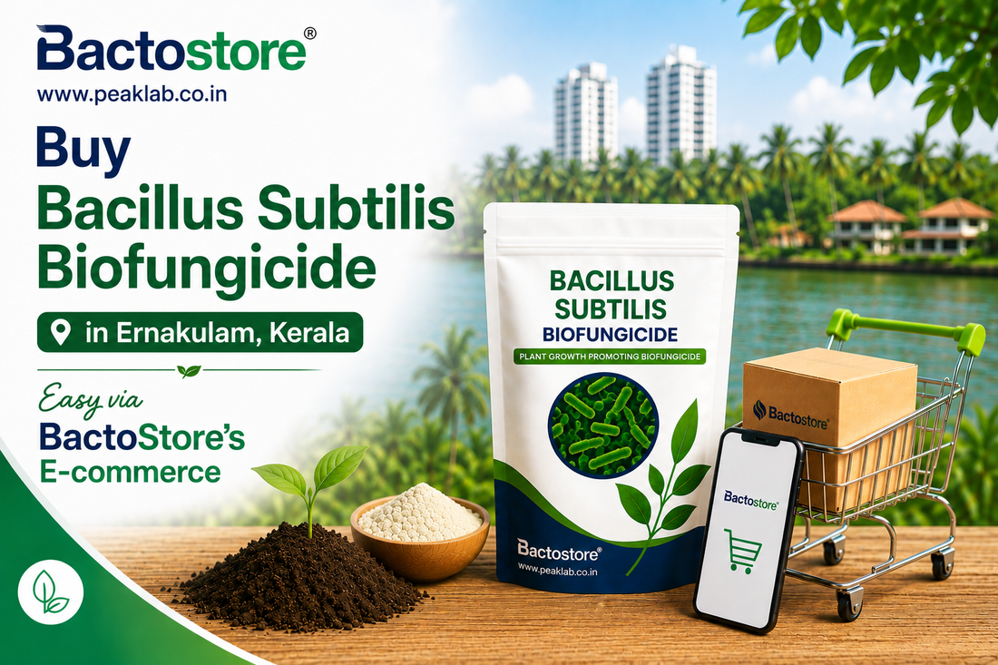 Buy Bacillus Subtilis Biofungicide in Ernakulam Kerala – Easy via BactoStore’s E-commerce