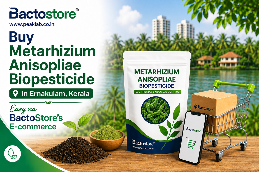 Buy Metarhizium Anisopliae Biopesticide in Ernakulam Kerala – Easy via BactoStore’s E-commerce