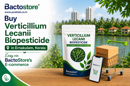 Buy Verticillium Lecanii Biopesticide in Ernakulam Kerala – Easy via BactoStore’s E-commerce
