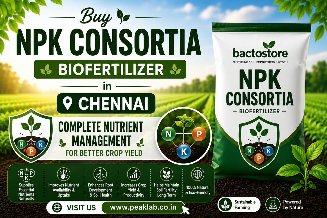 Buy NPK Consortia Biofertilizer in Chennai – Complete Nutrient Management for Better Crop Yield