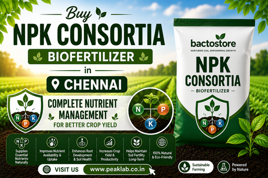 Buy NPK Consortia Biofertilizer in Chennai – Complete Nutrient Management for Better Crop Yield