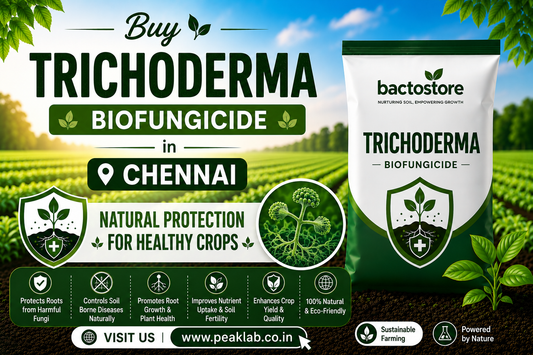 Buy Trichoderma Biofungicide in Chennai – Natural Protection for Healthy Crops