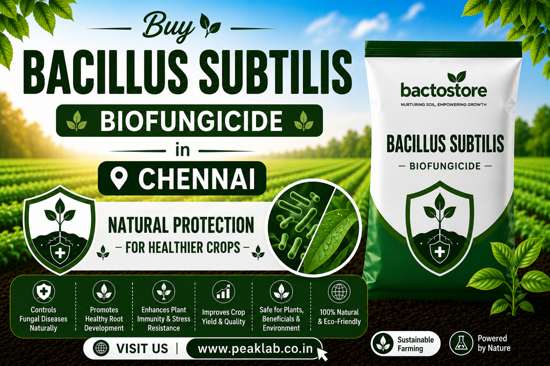 Buy Bacillus Subtilis Biofungicide in Chennai – Natural Protection for Healthier Crops