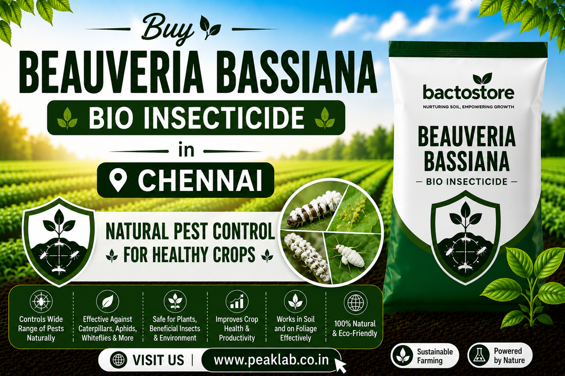 Buy Beauveria Bassiana Bio Insecticide in Chennai – Natural Pest Control for Healthy Crops