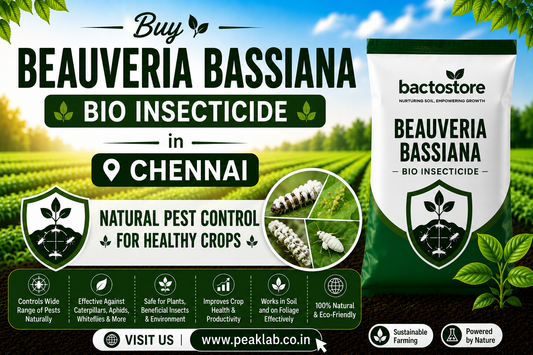 Buy Beauveria Bassiana Bio Insecticide in Chennai – Natural Pest Control for Healthy Crops