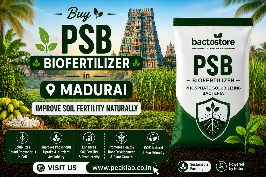 Buy PSB Biofertilizer in Madurai – Improve Soil Fertility Naturally