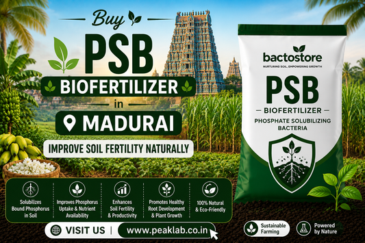 Buy PSB Biofertilizer in Madurai – Improve Soil Fertility Naturally