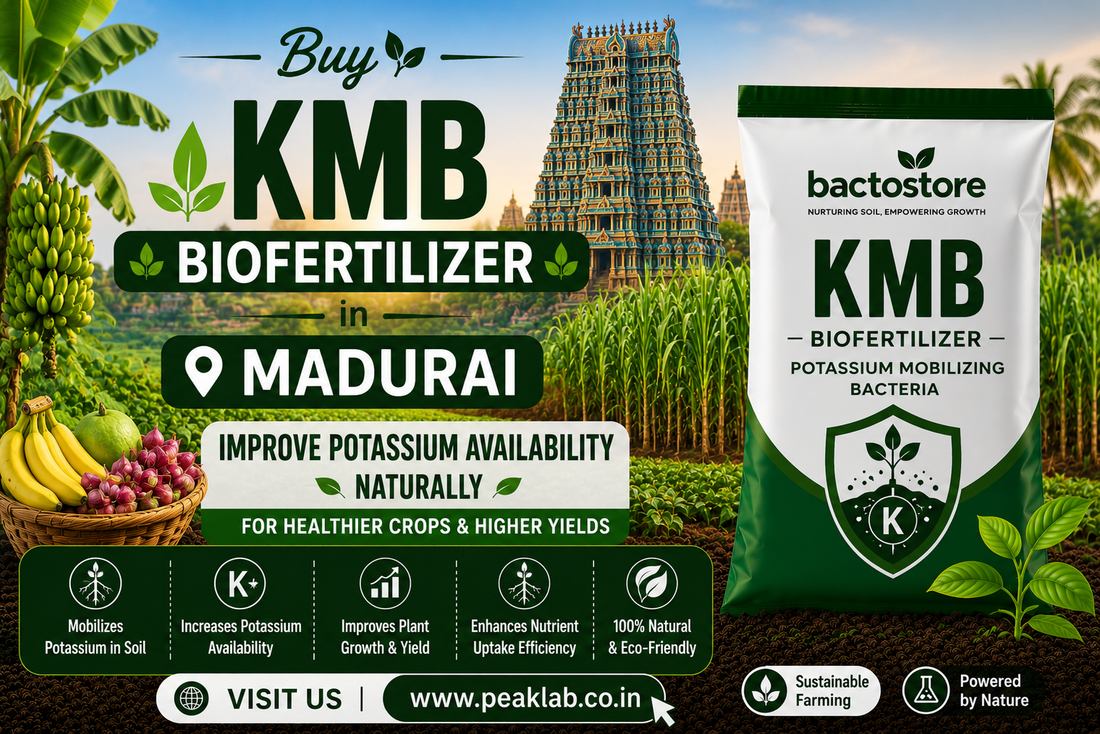 Buy KMB Biofertilizer in Madurai – Improve Potassium Availability Naturally
