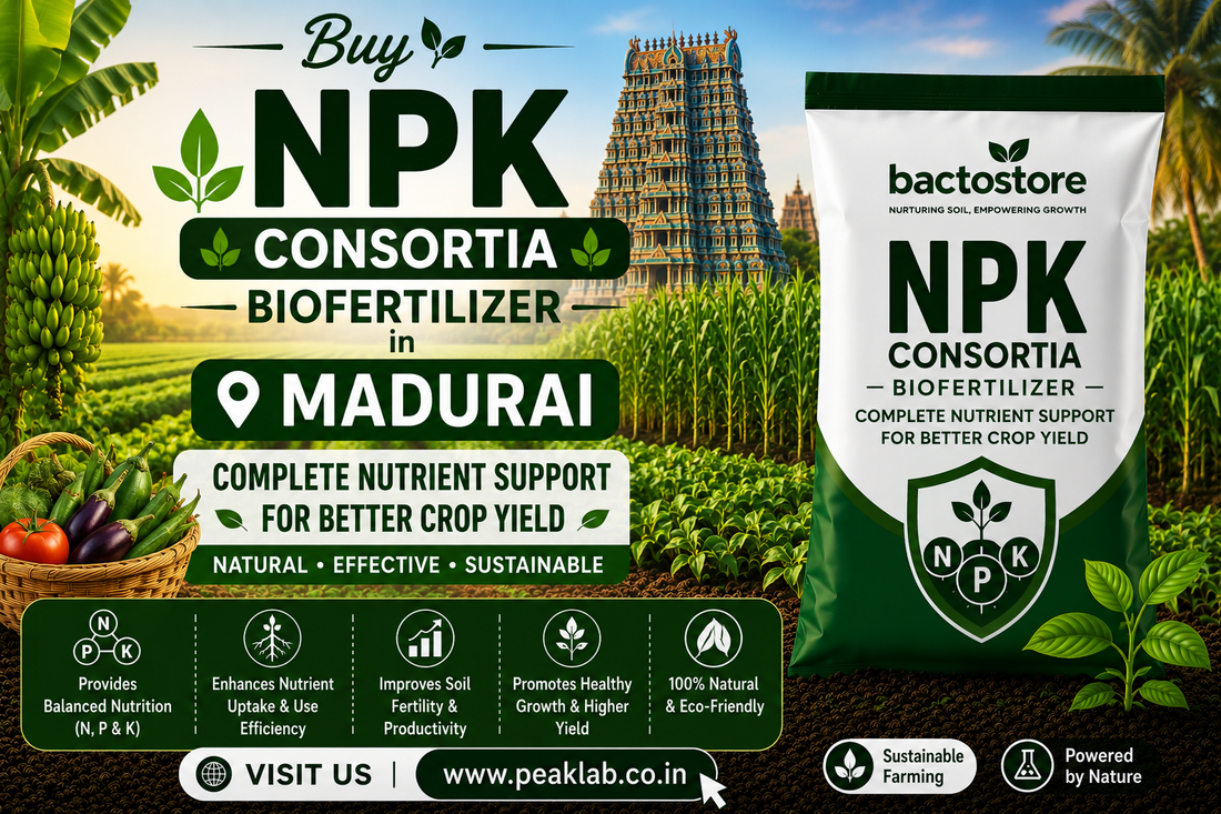 Buy NPK Consortia Biofertilizer in Madurai – Complete Nutrient Support for Better Crop Yield