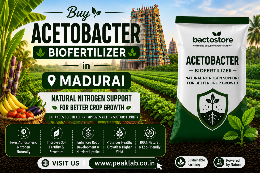 Buy Acetobacter Biofertilizer in Madurai – Natural Nitrogen Support for Better Crop Growth