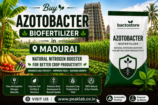 Buy Azotobacter Biofertilizer in Madurai – Natural Nitrogen Booster for Better Crop Productivity